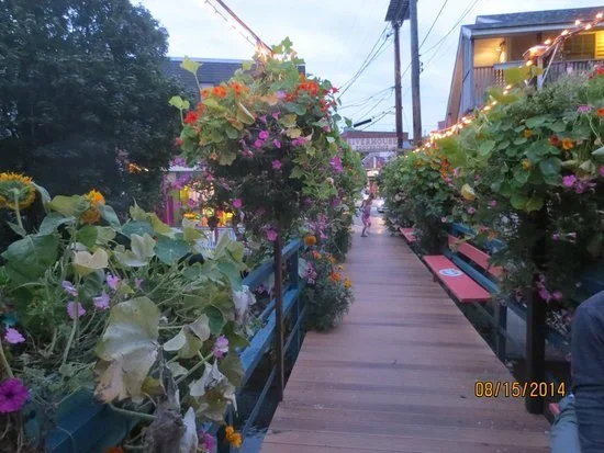 riverhouse bridge.webp