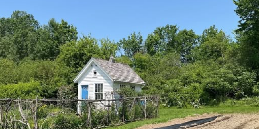 brae Maple farm .png