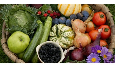 2025 Expo: Edible Gardens & Bountiful Tables