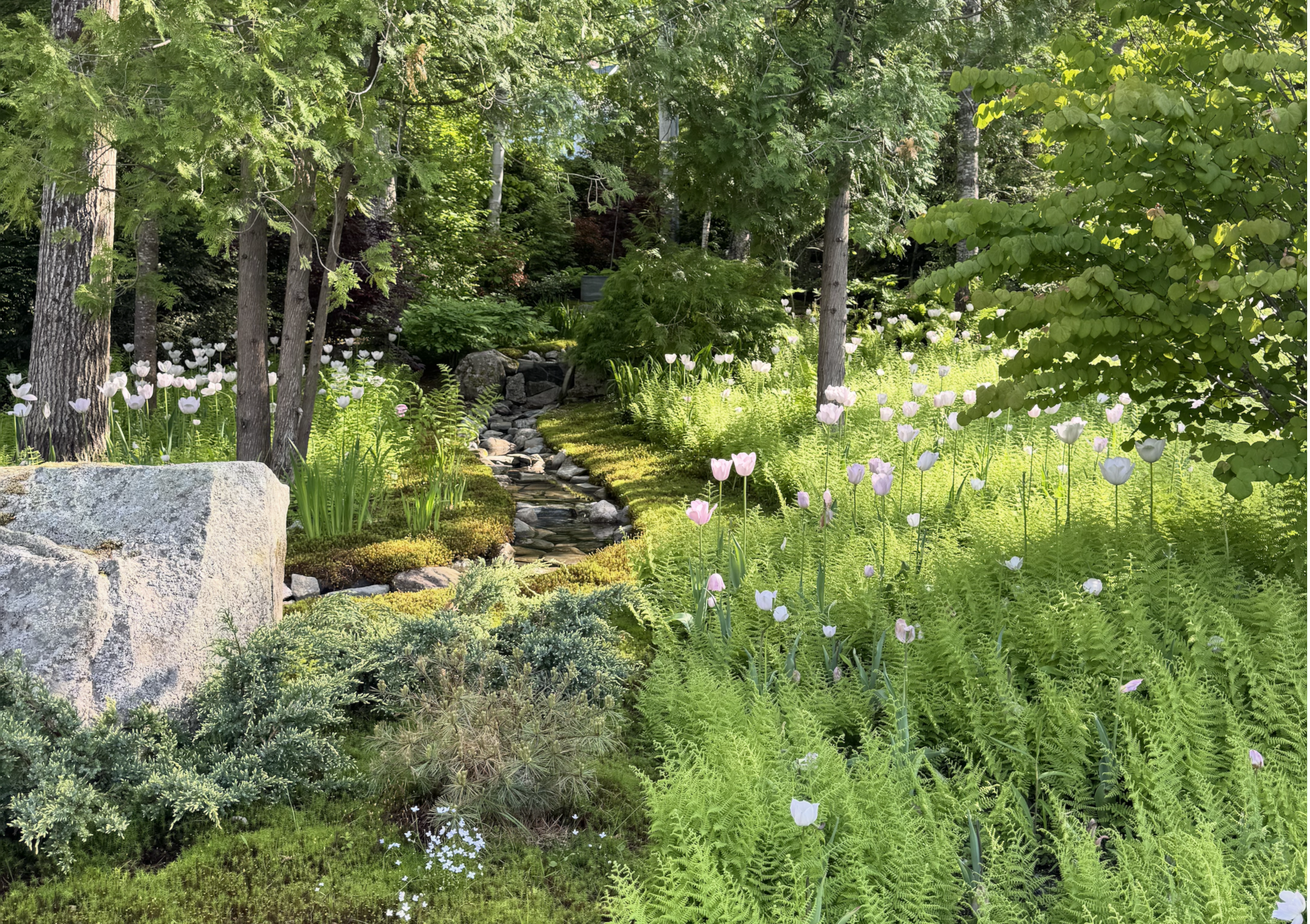 Bay View June Runnel.png