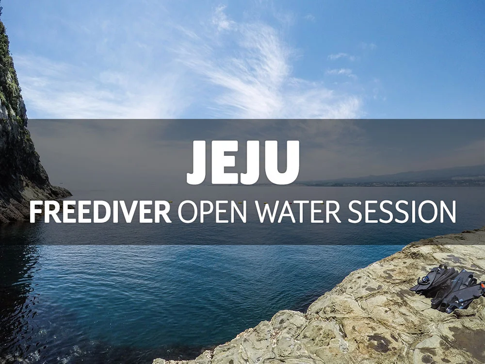 제주 프리다이버 해양교육 / 10월 13일(금)~15일(일)