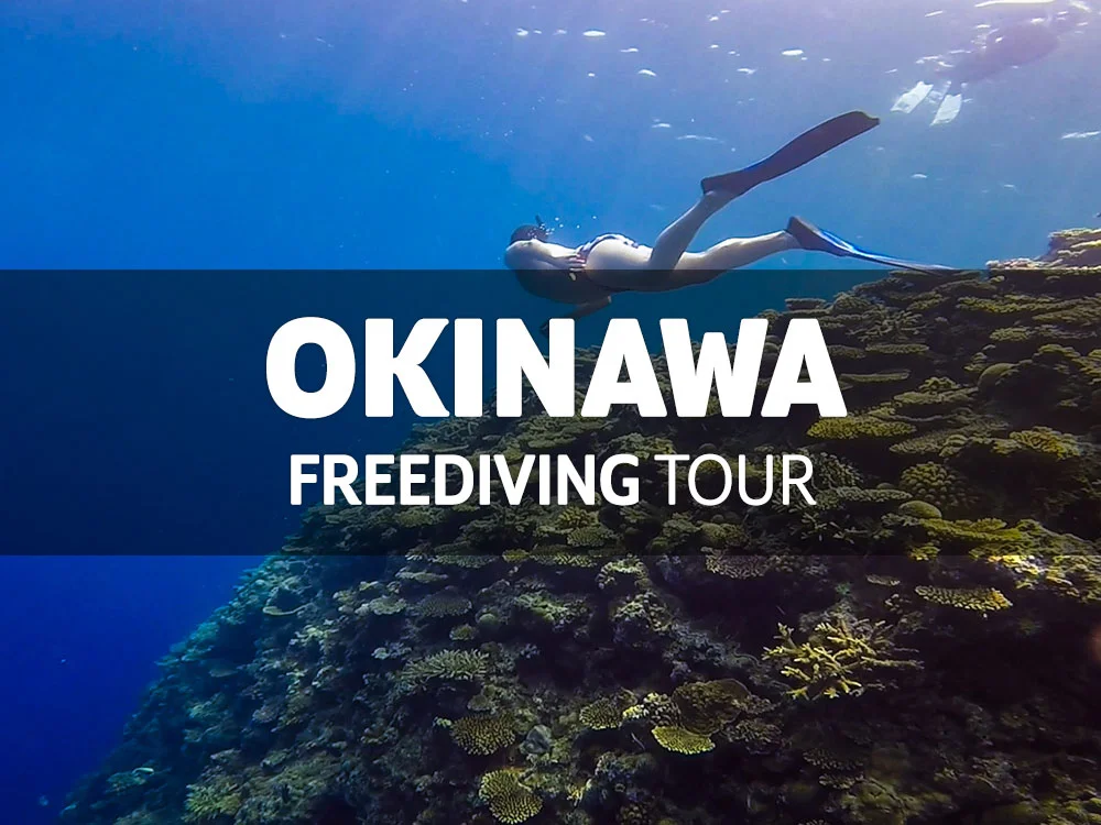 오키나와 프리다이빙 투어 / 7월 21일(금) ~ 25일(화)