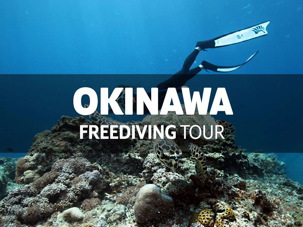 7월 오키나와 프리다이빙 투어 / 7월 12일(금) ~ 20일(토)