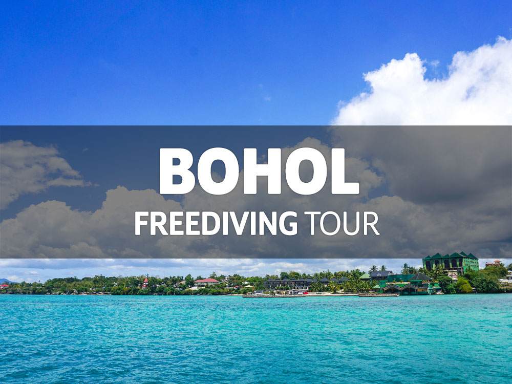 12월 보홀 프리다이빙 투어 / 12월 16일(토) ~ 18일(월)