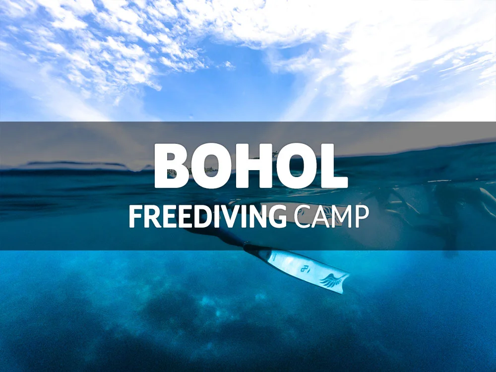 2월 보홀 프리다이빙 투어 / 2월 6일(화) ~ 22일(목)