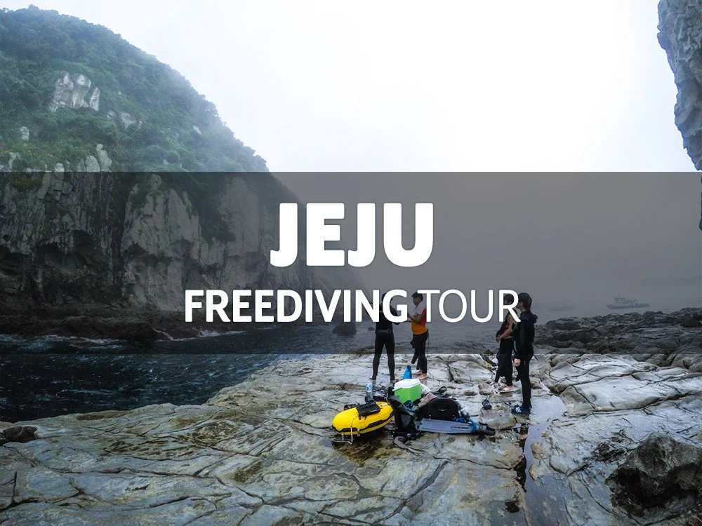 제주 프리다이버 해양교육 / 10월 11일(금) ~ 13일(일)
