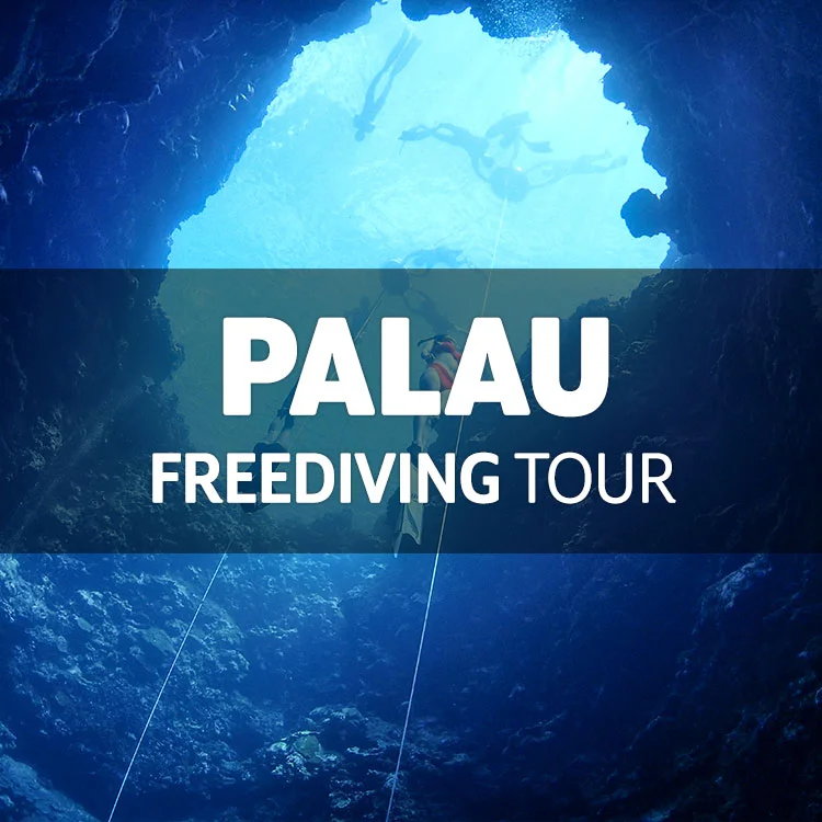 3월 팔라우 프리다이빙 투어 / 3월 5일(목) ~ 13일(금)