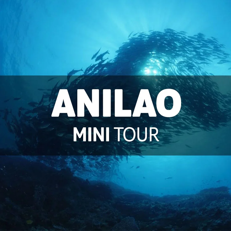 8월 아닐라오 미니 투어 / 8월 8일(목) ~ 12일(월)