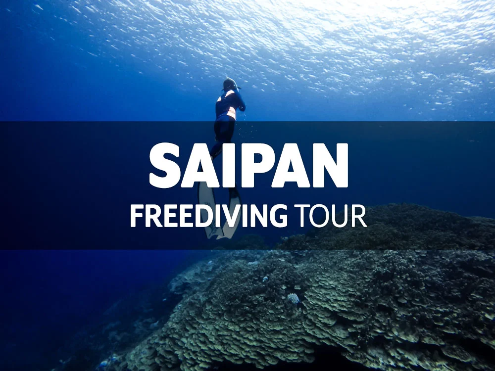 12월 사이판 투어 / 12월 19일(목) ~ 23일(월) - 마감