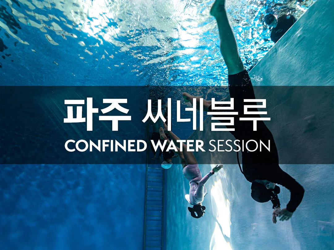 파주 씨네블루 - AIDA1