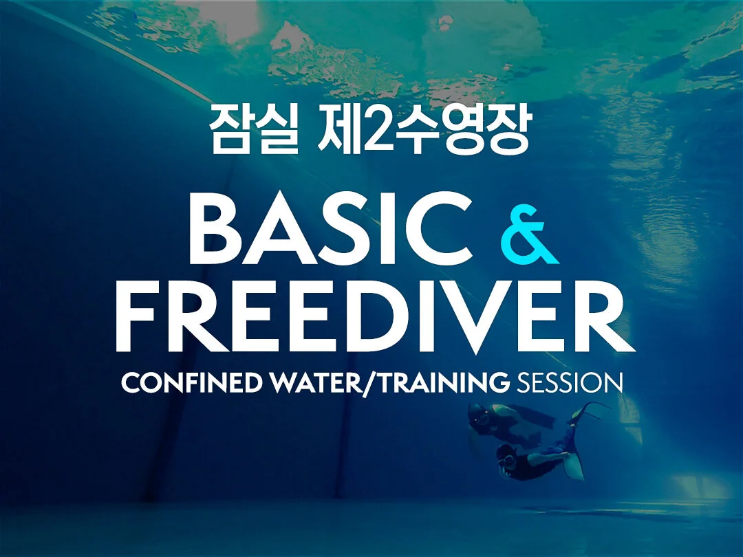평일 잠실 프리다이버/AIDA2 과정