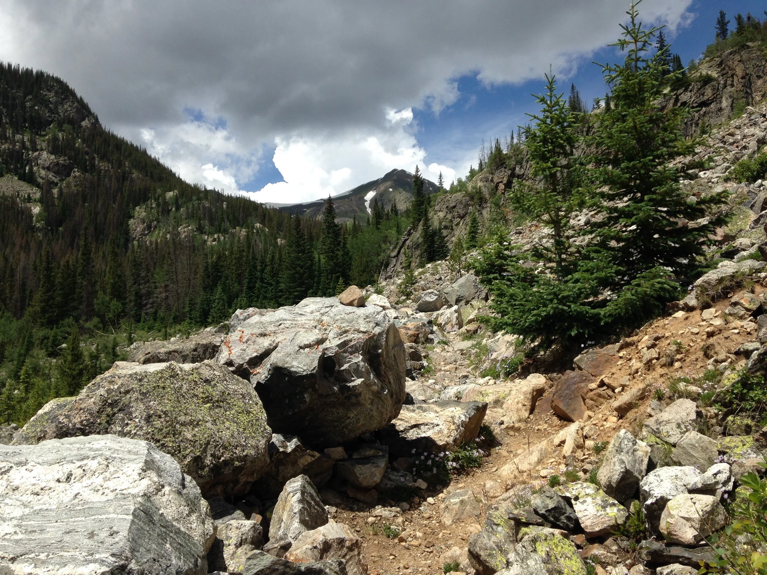 Be mindful of the journey when your path in life feels rocky and steep. Pam Day