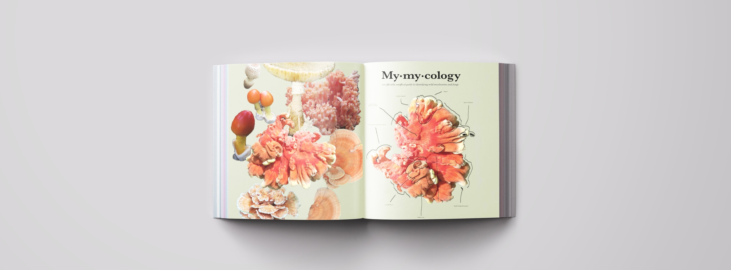 pages12.jpg