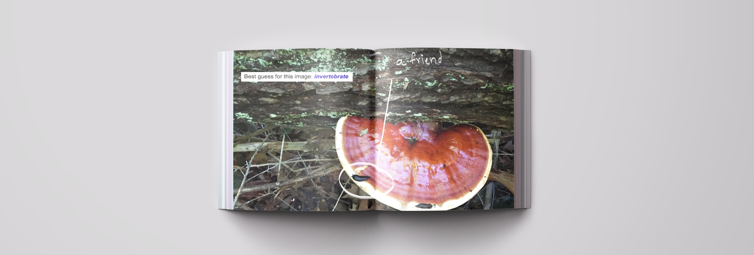 pages56.jpg