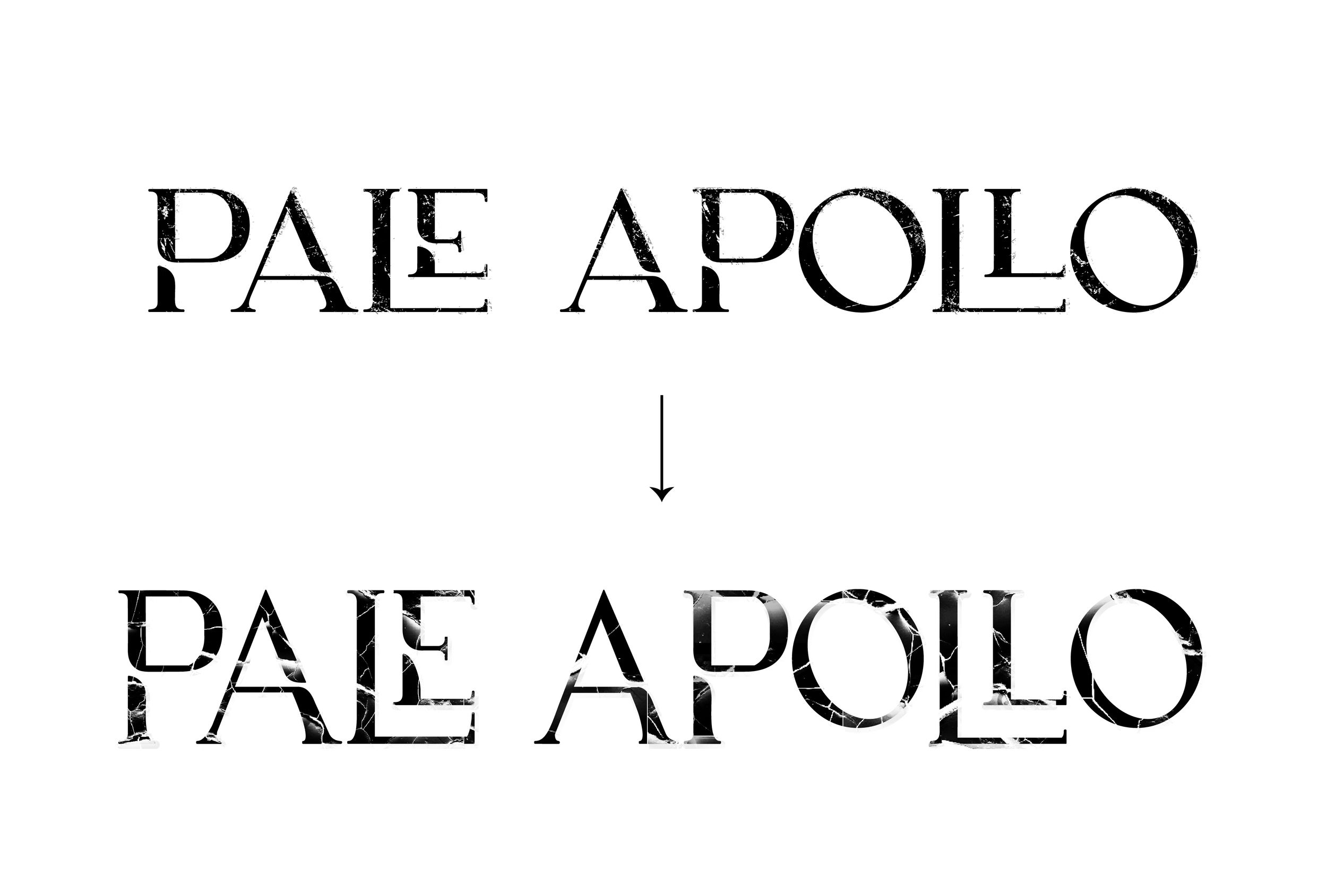 PALEAPOLLO_UPDATES-01.png