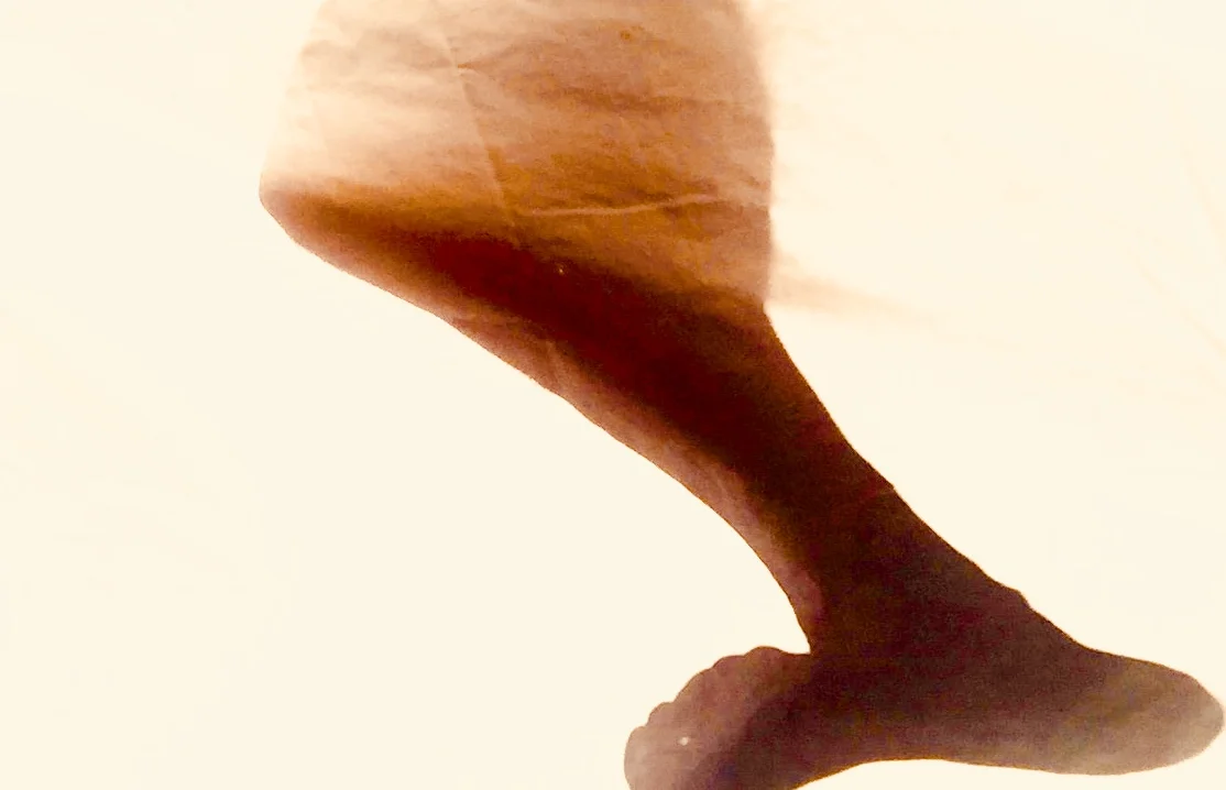terra firma © colin goedecke