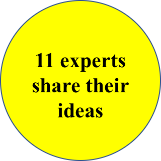 11 experts share ideas.png