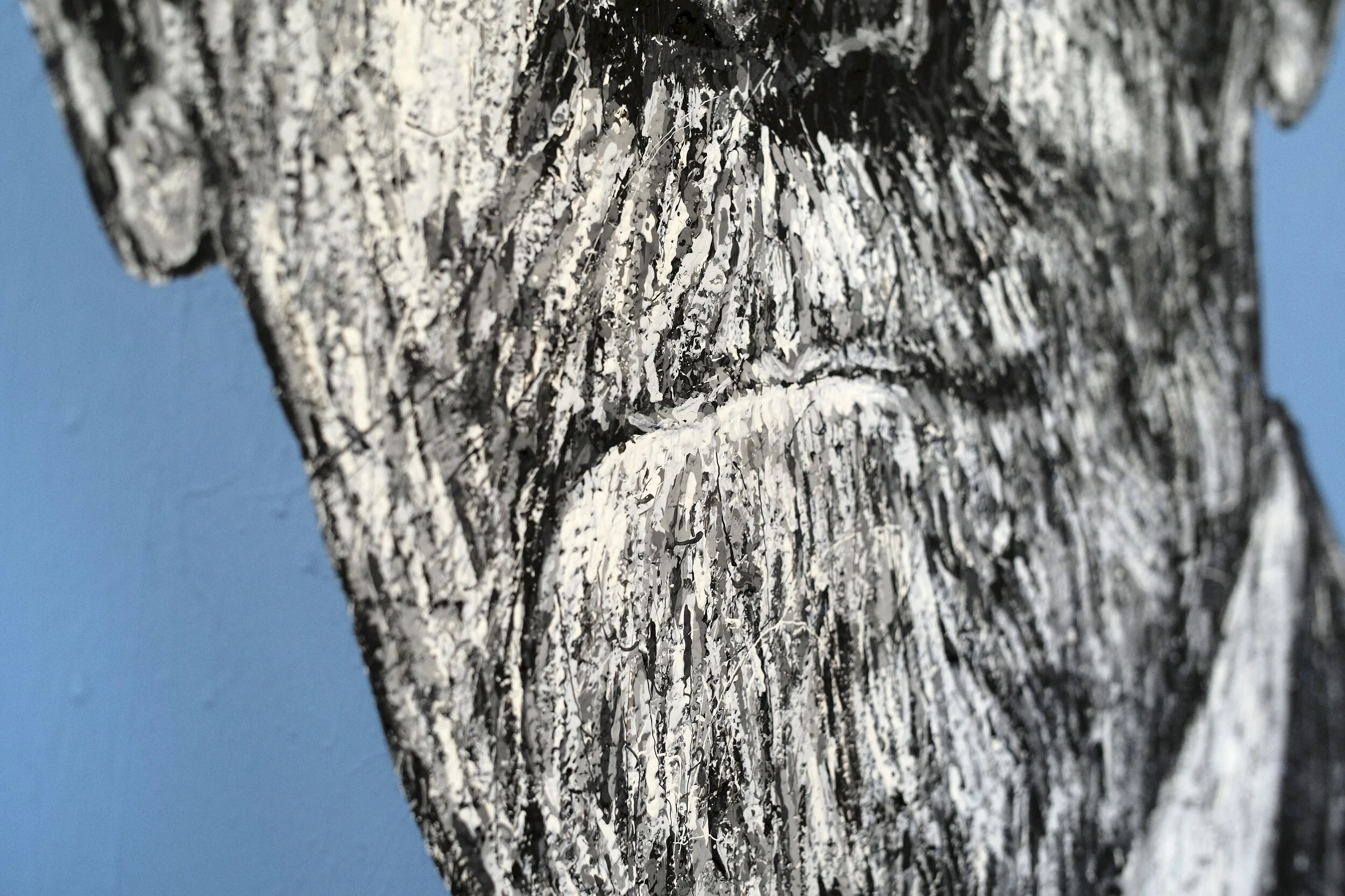 L1002577.jpg
