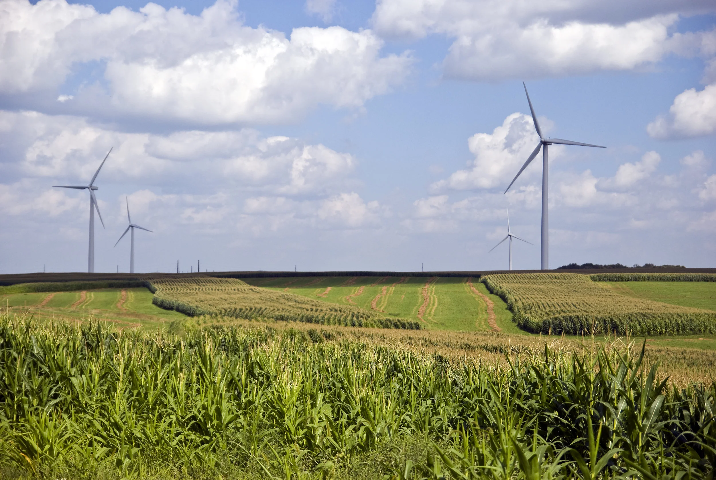 iStock-151530656.jpg