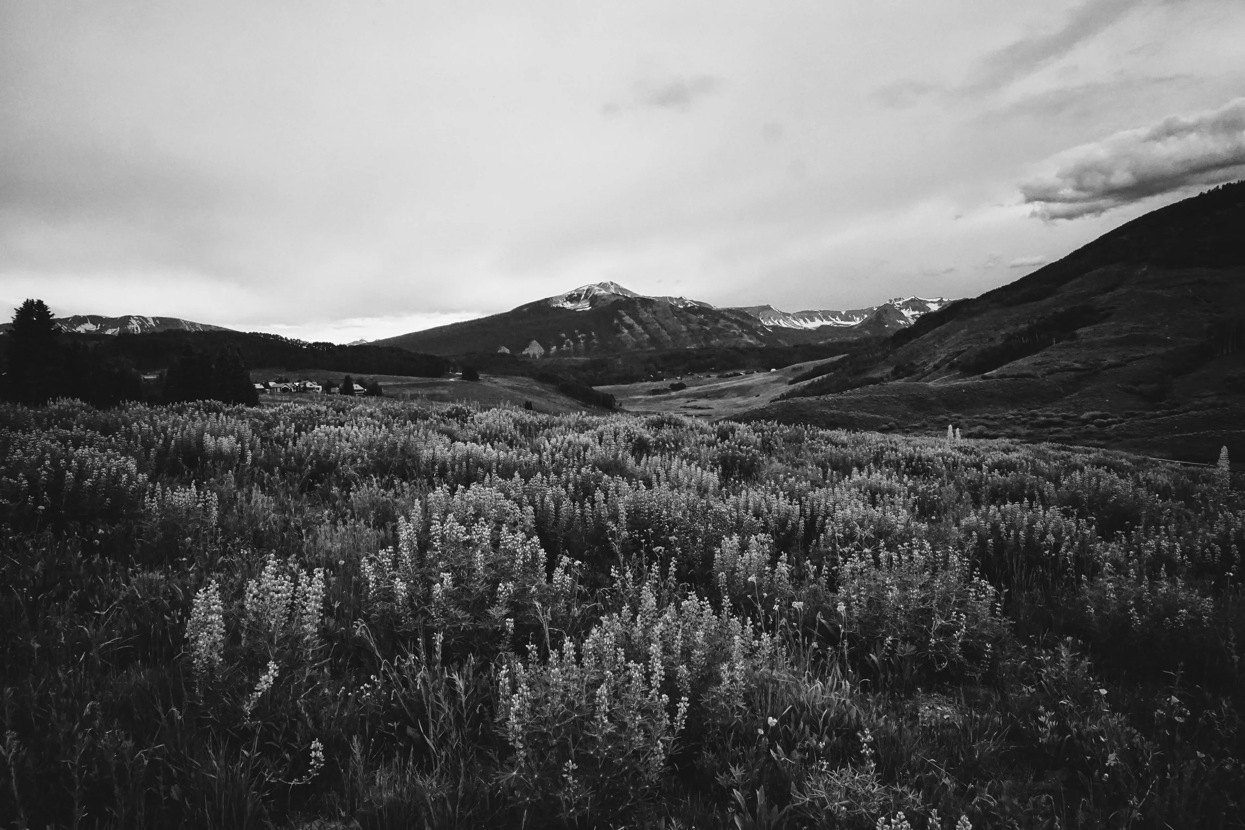 Crested Butte