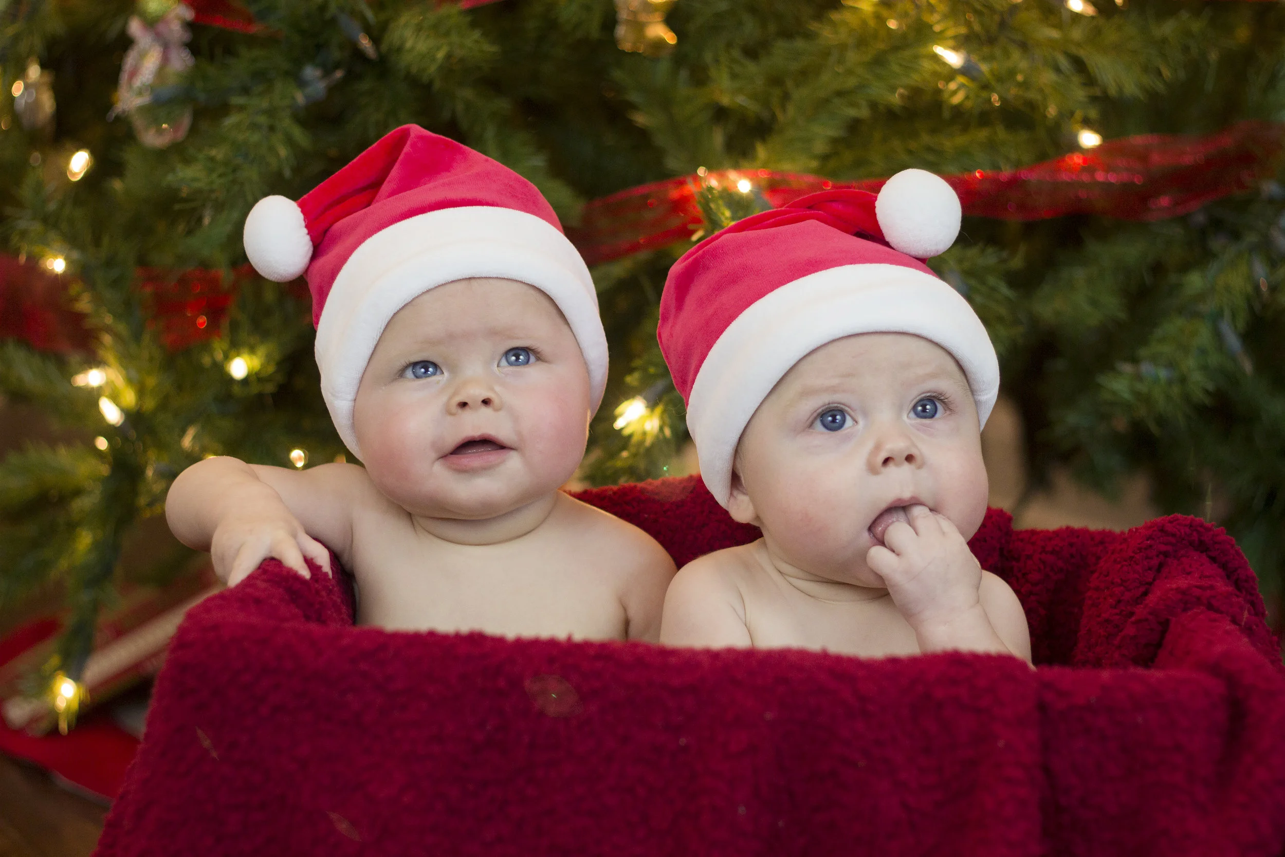 Twins_Christmas2015 (2).jpg