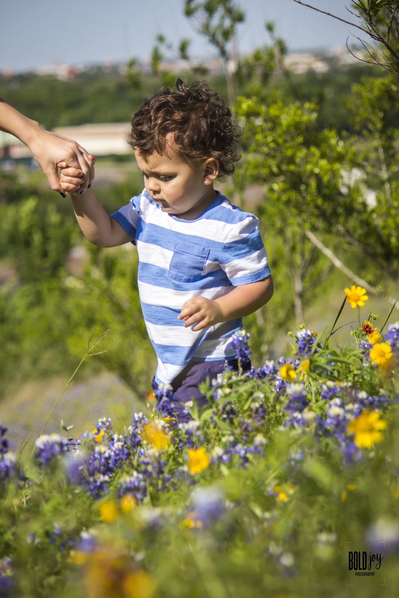 bluebonnet-12.jpg
