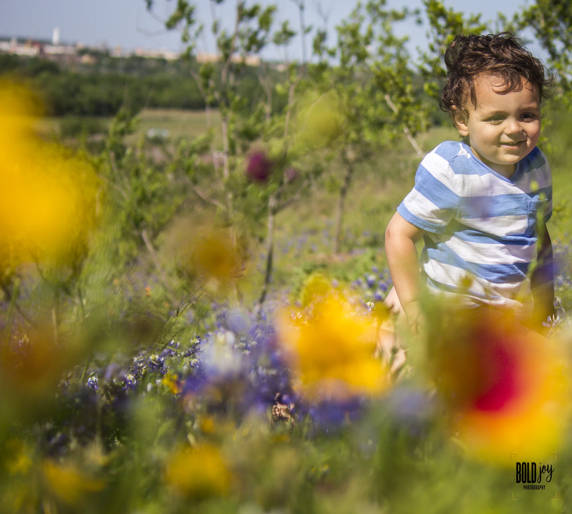 bluebonnet-11.jpg