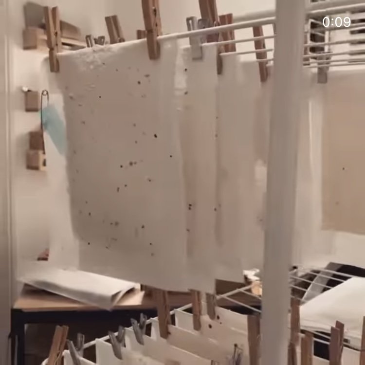  Paper made from cotton scraps drying on a rack 