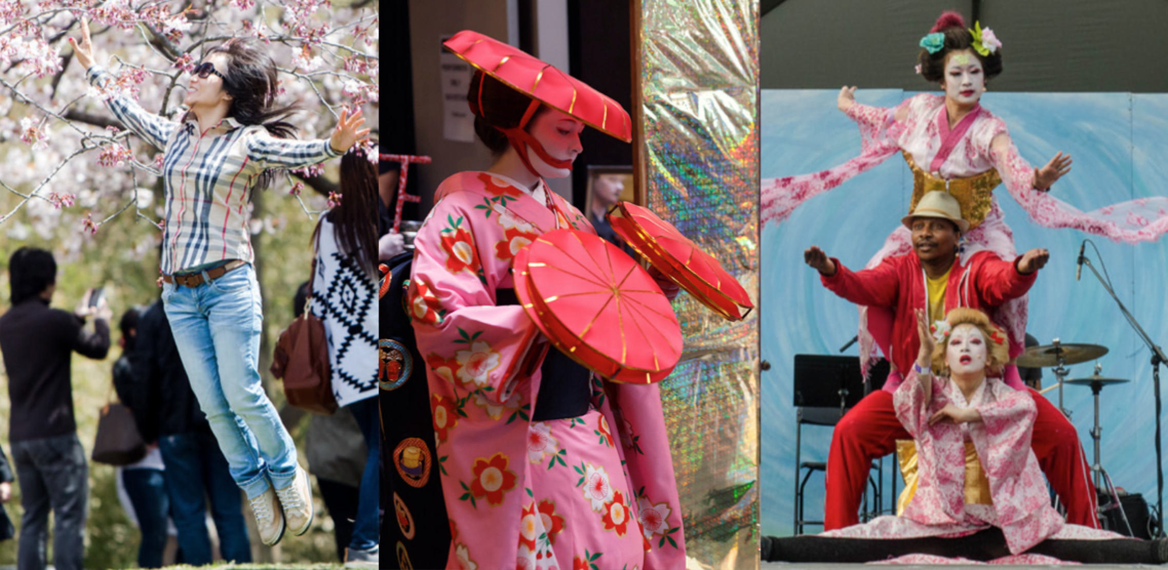 Arts Japan 2020 Cherry Blossom Festivals.png