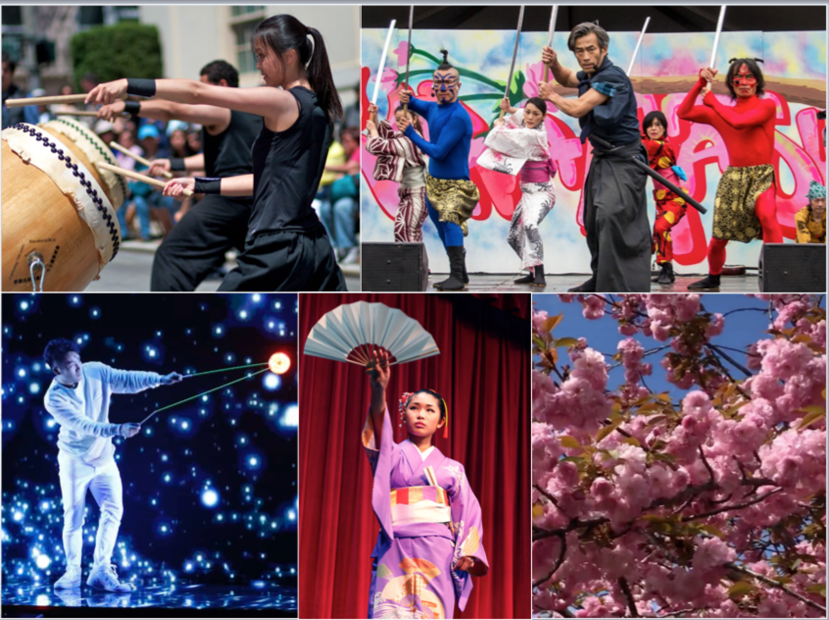 Arts Japan 2019 Cherry Blossom Main Image 2.png