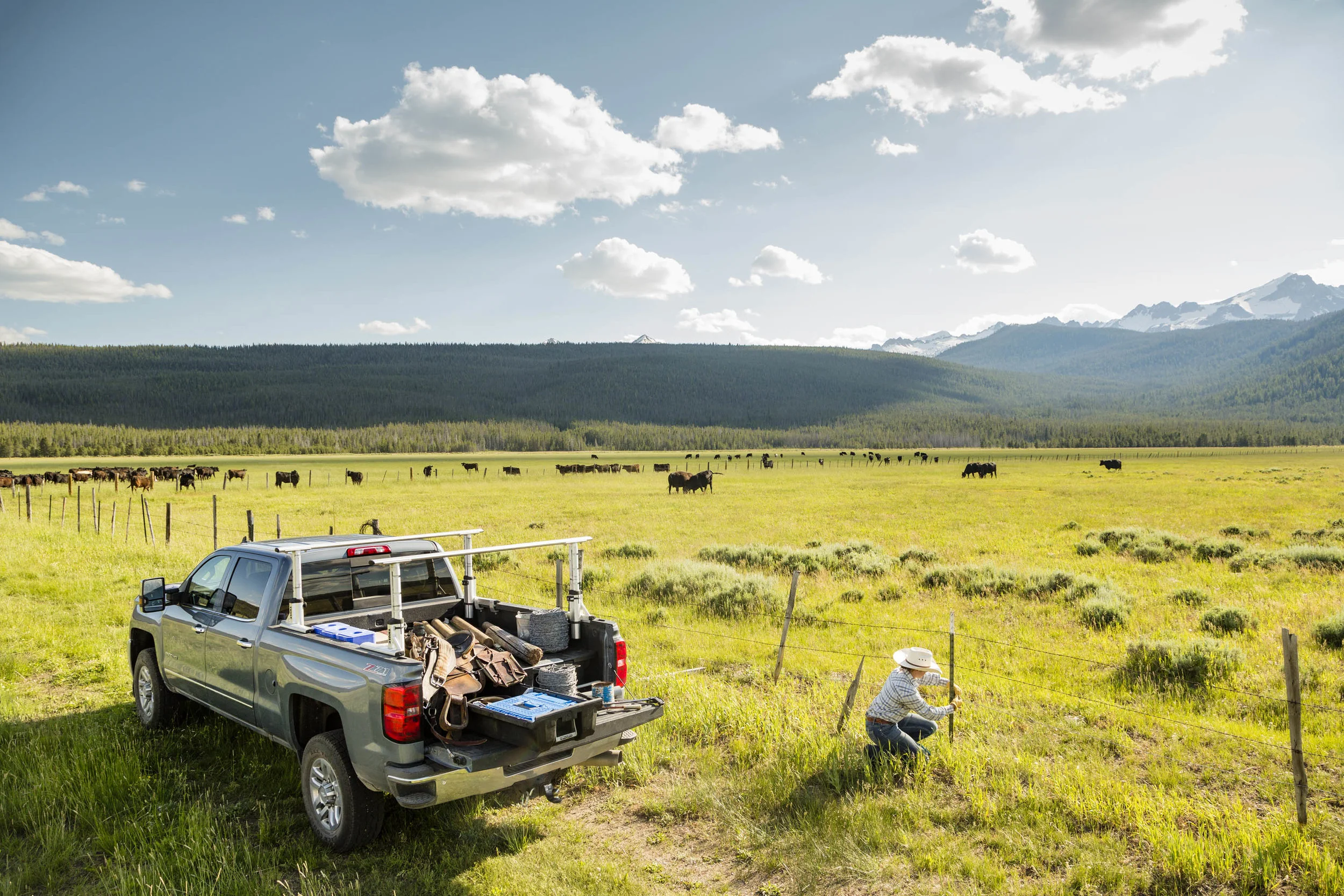 RANCHER_LX_1138.jpg