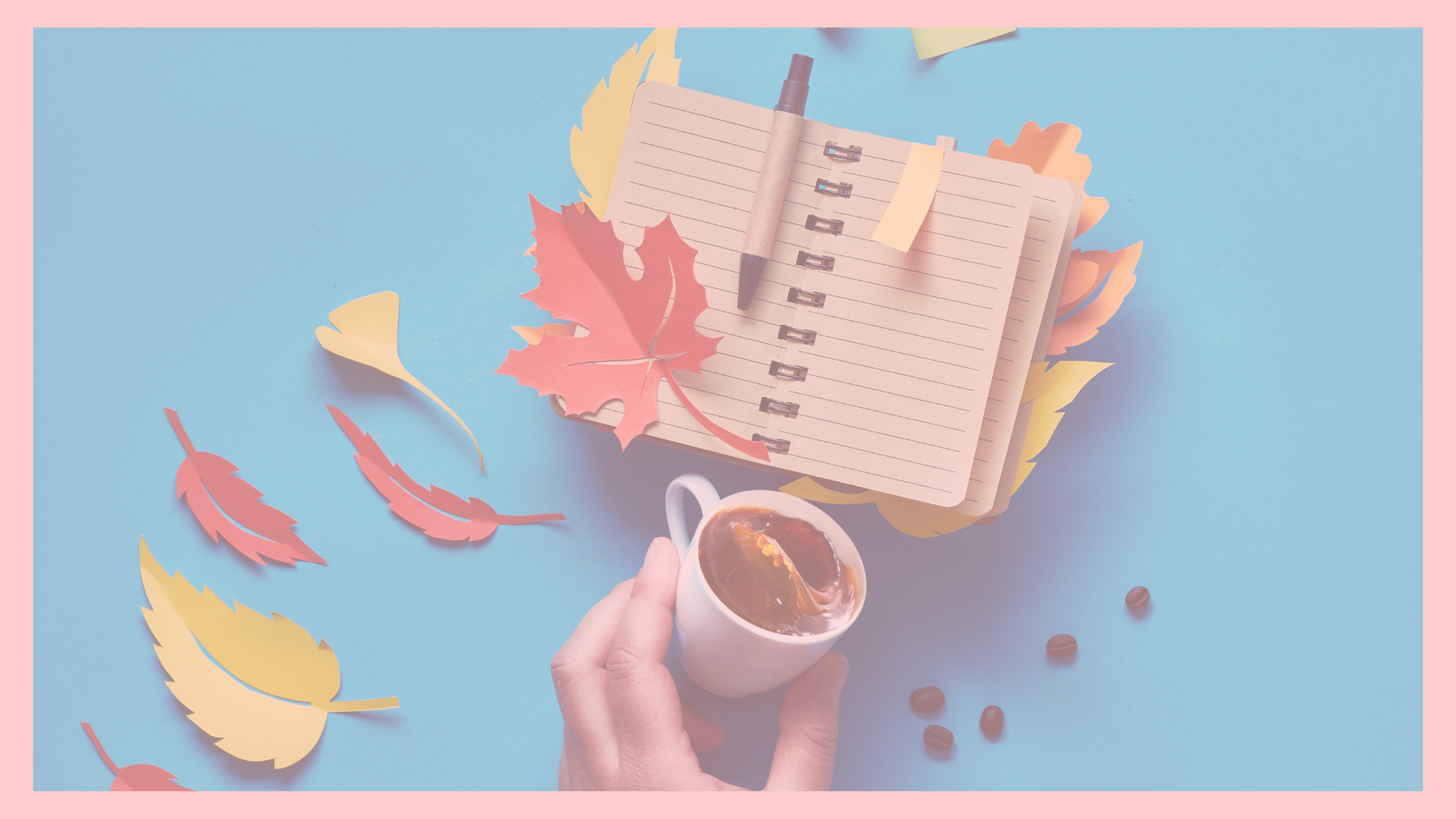 September Successes