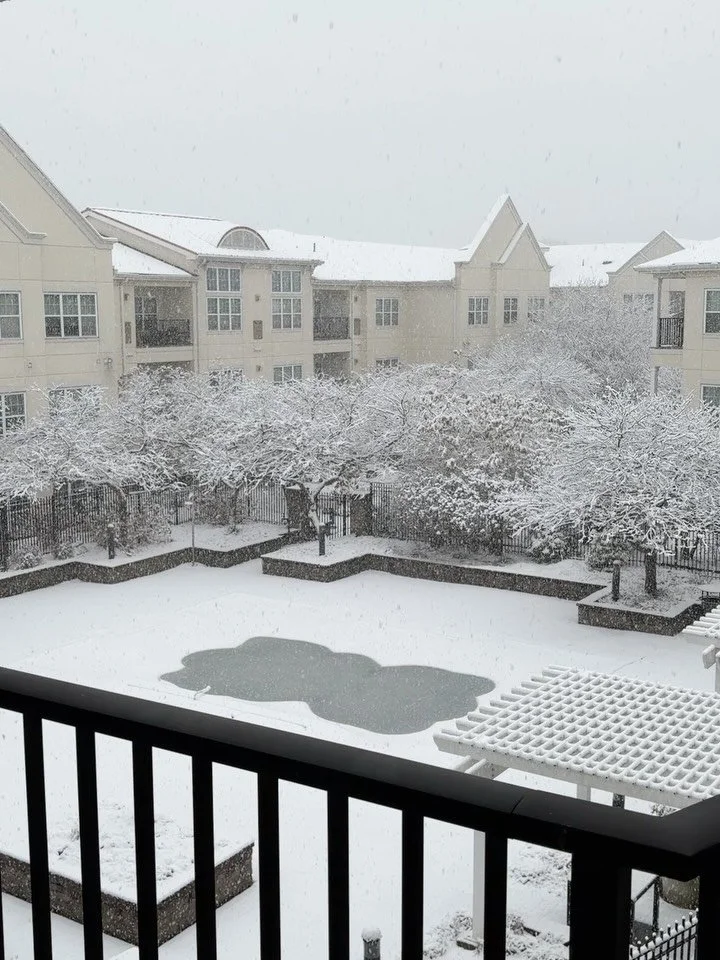 First snowfall of the year!!! ❄️☃️❄️☃️❄️