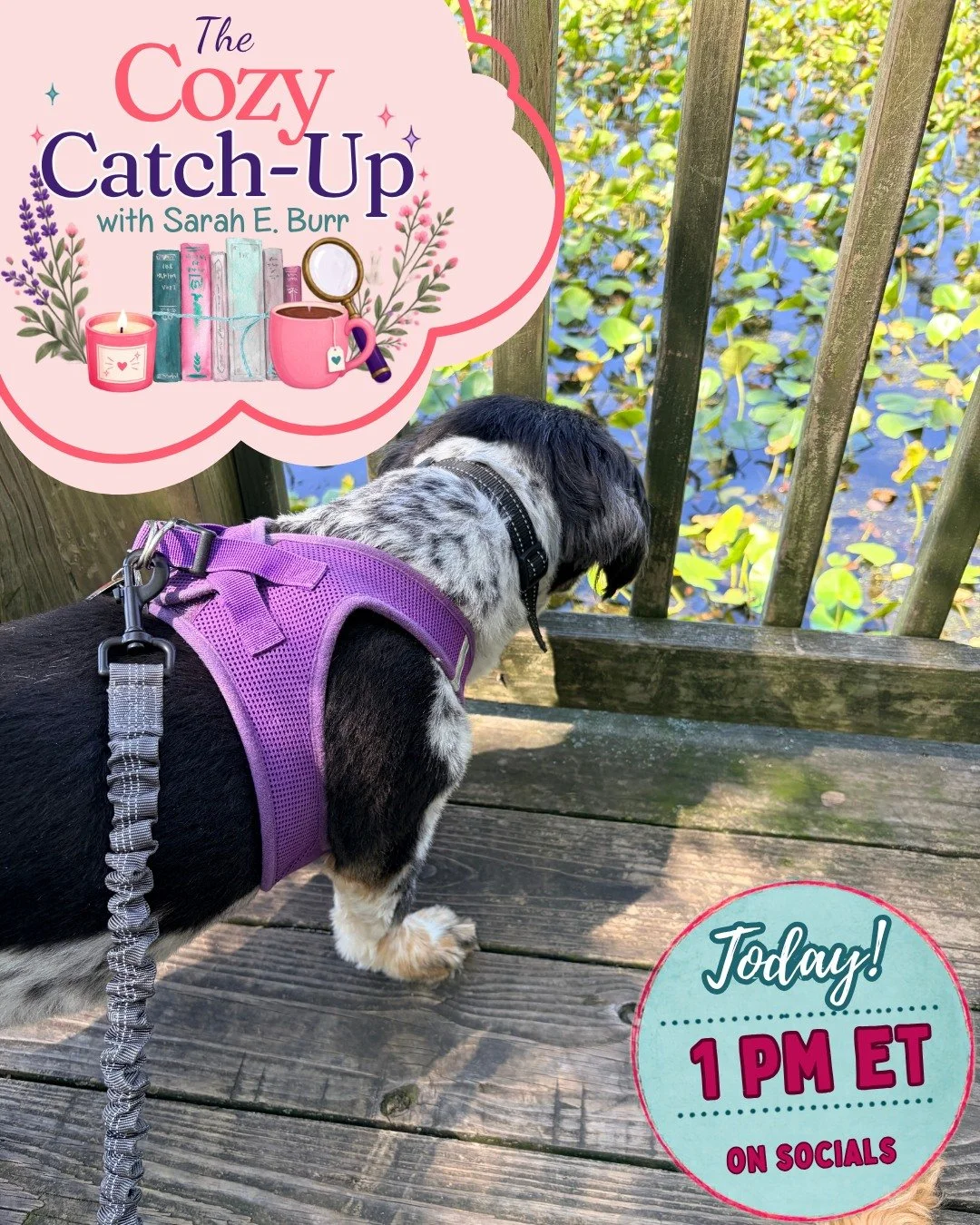 Hey, folks! It's Wednesday, which means it's time for another Cozy Catch-Up. I'd love for you to join me at 1 PM ET on Facebook and Instagram LIVE!

With George away for the weekend at a Warhammer tournament, the pups and I had a few adventures of ou