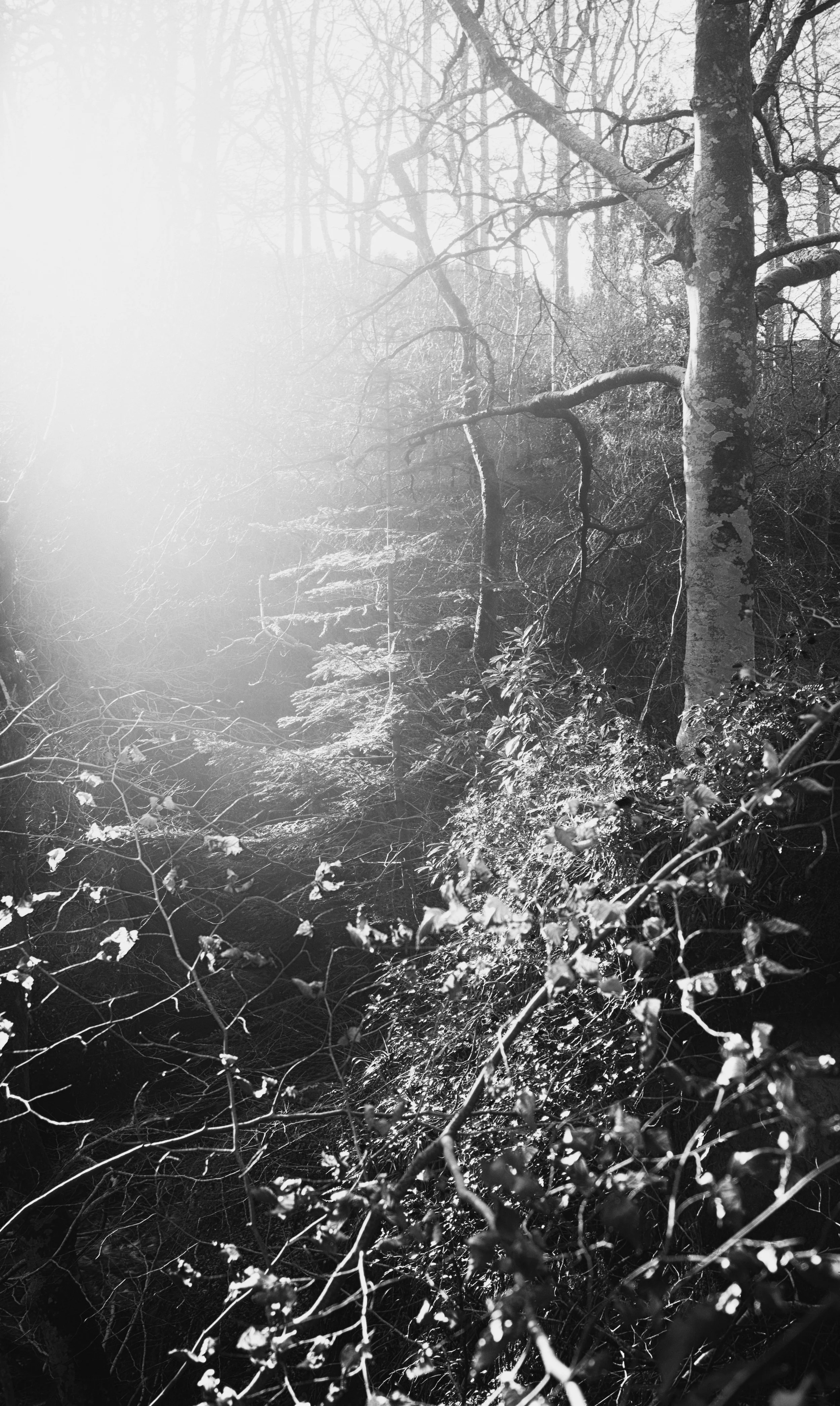 DSC_4858-Edit.jpg