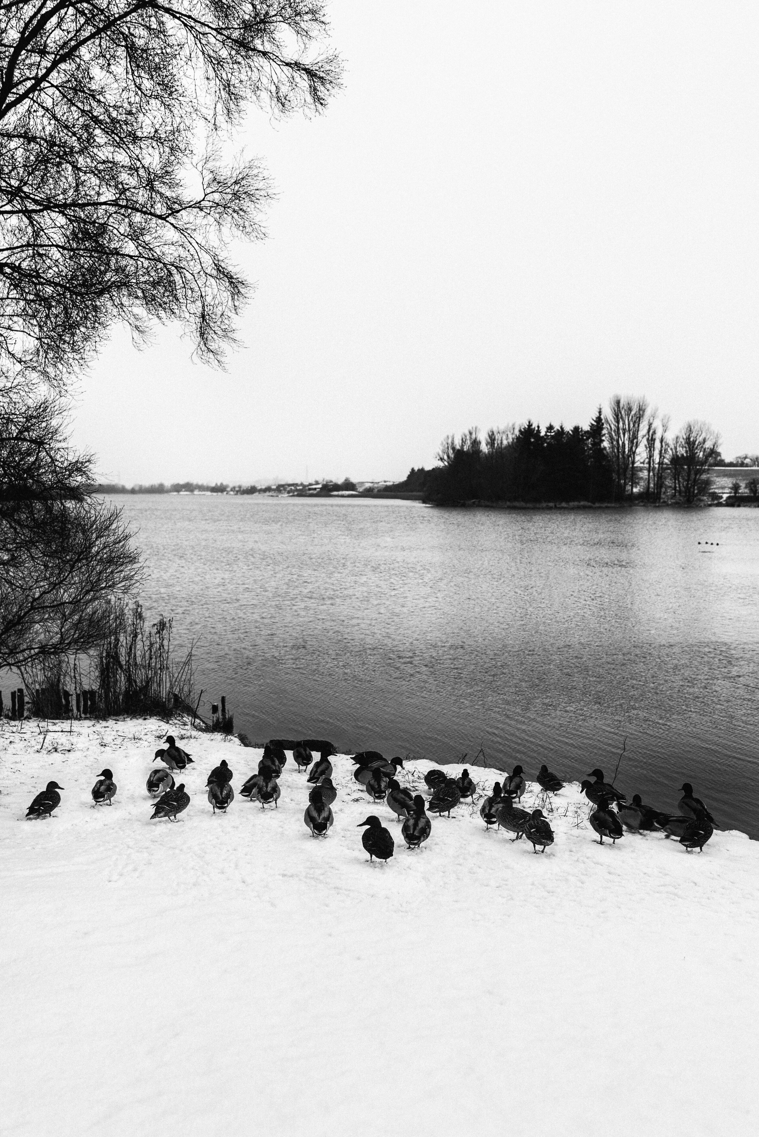 NEF_0724-Edit-2-Edit-Edit.jpg