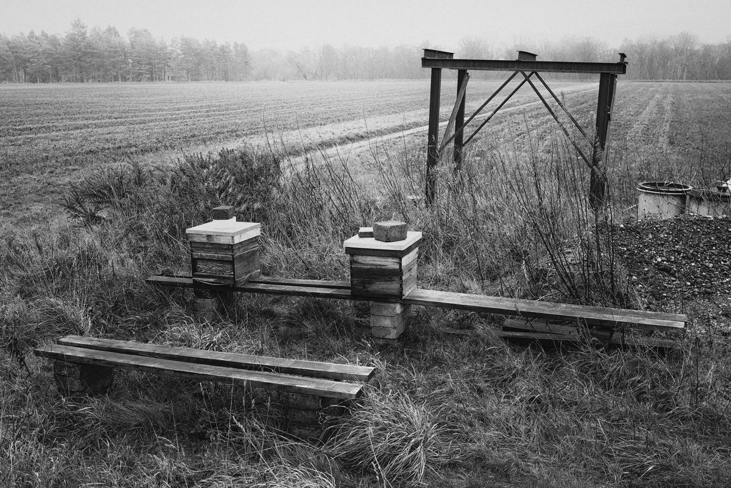 DSC_4352-2-Edit.jpg