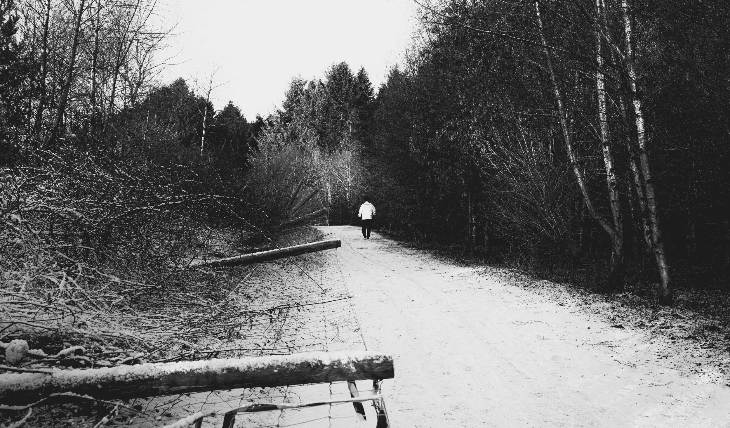 DSC_4702-Edit-Edit-Edit.jpg