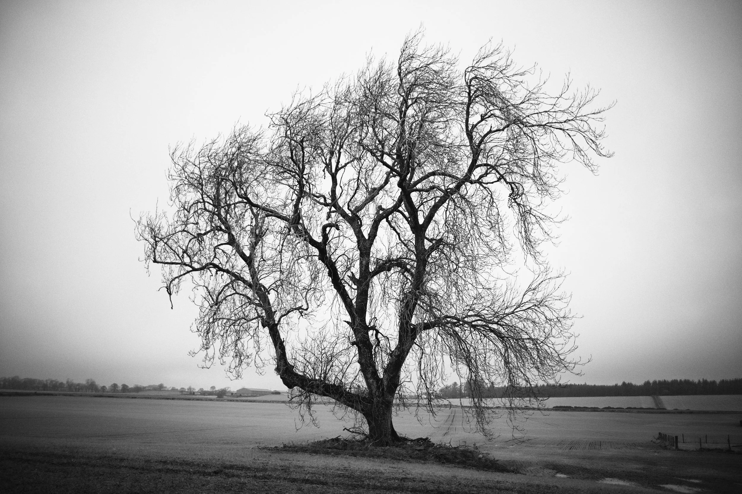_AKD1643.jpg