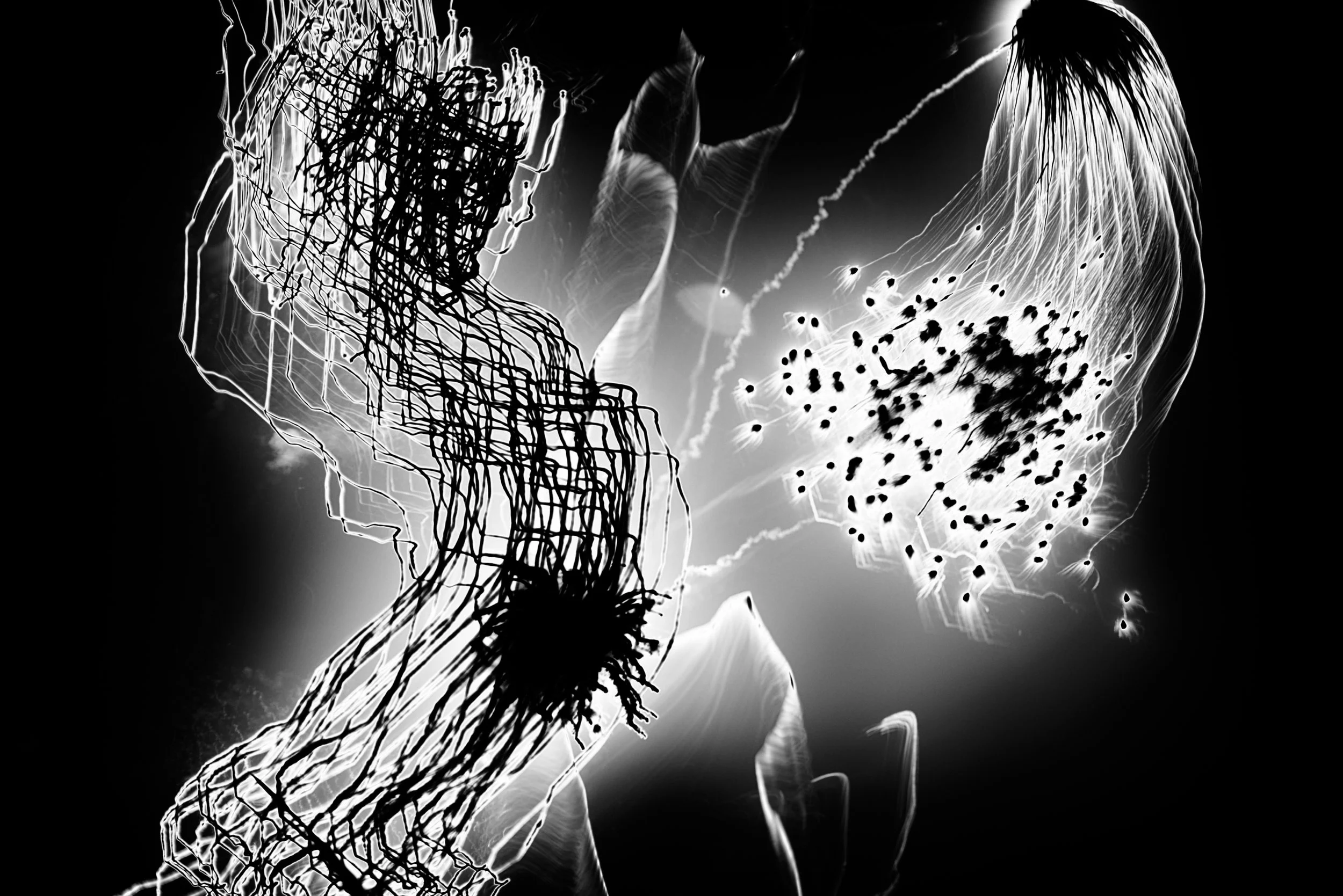 ANDERSON-DAKERS-1 (10).jpg