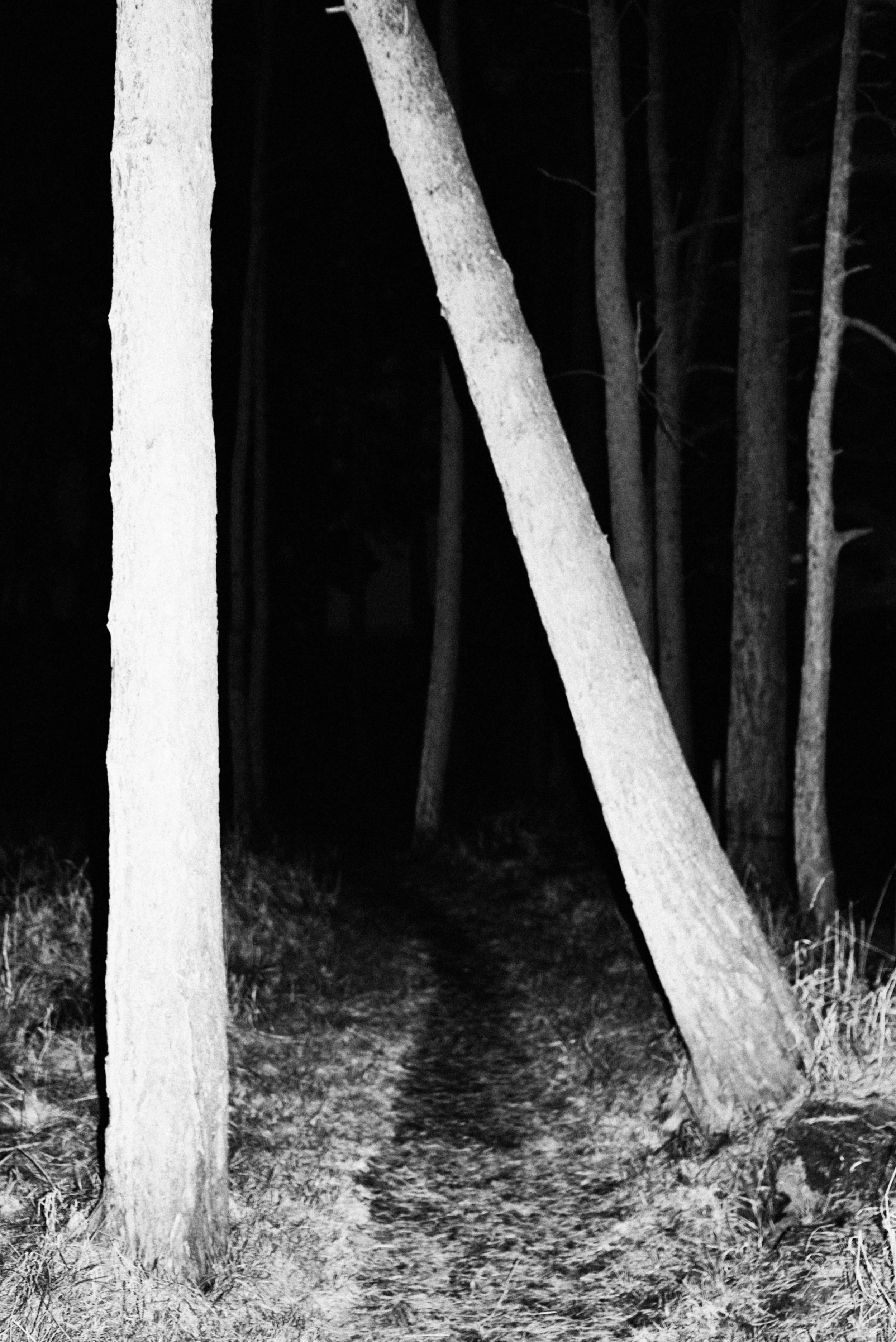 ANDERSON-DAKERS- (17).jpg