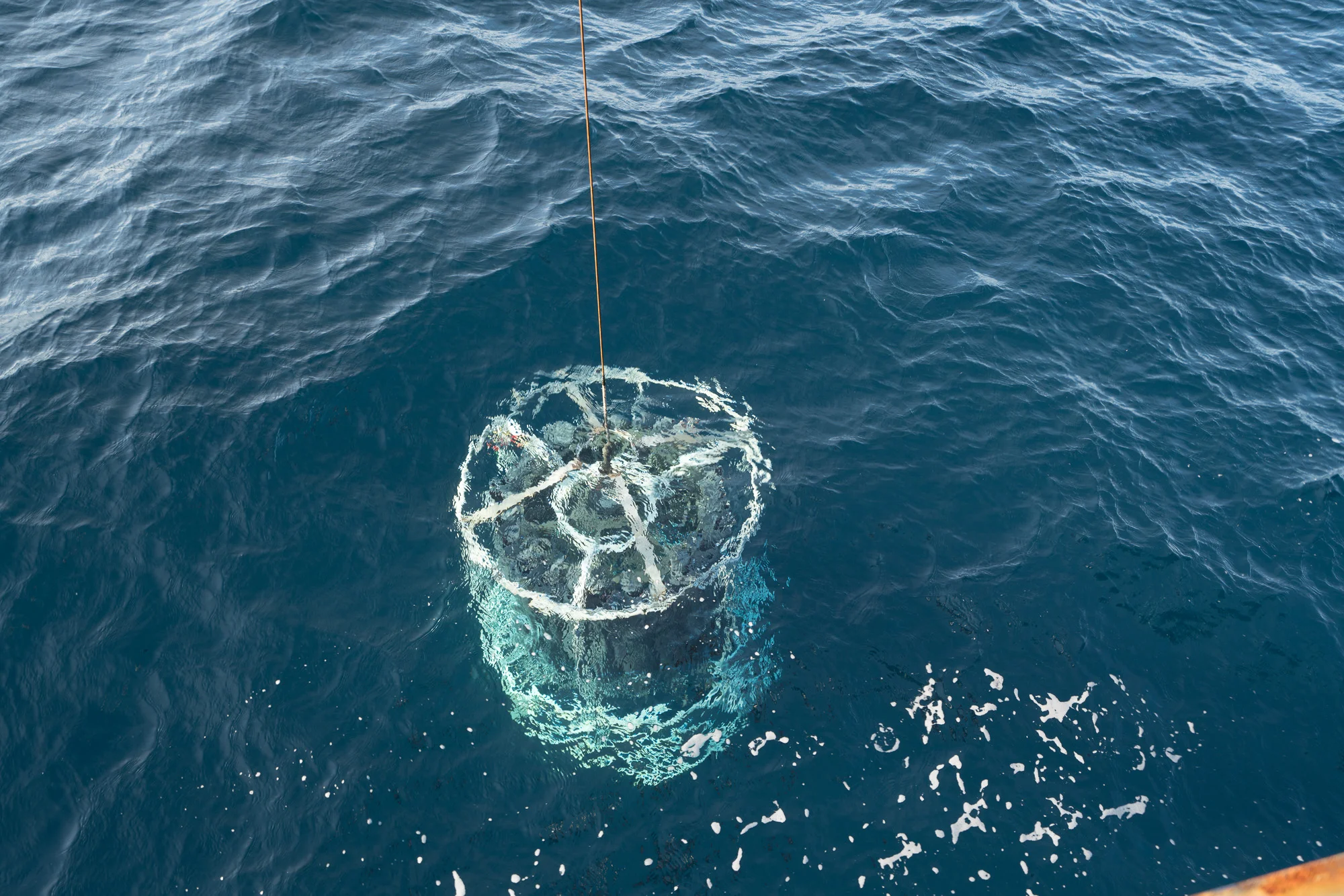 The Conductivity, Temperature, Depth rosette deployed over the side of the vessel for our first test cast and water collection. Photo credit: Andrew McDonnell