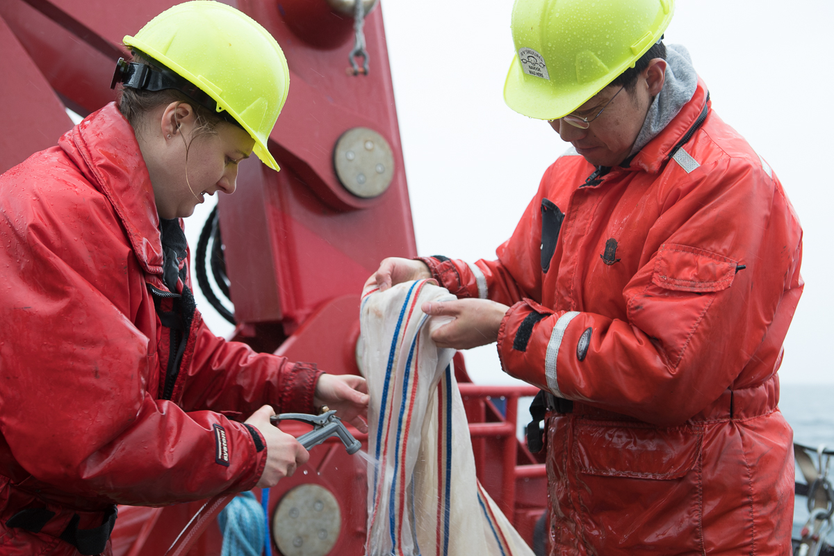 Caitlin Smoot and Atsushi Yamaguchi washing down the Bongo nets used for zooplankton sampling. Photo credit: Brendan Smith