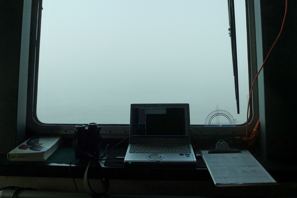 All fog and no birds. Photo credit: Catherine Pham