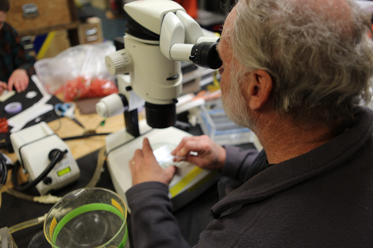 Russ Hopcroft examining some of the water collected from the CTD Rosette looking for different species of zooplankton. Photo credit: Brendan Smith