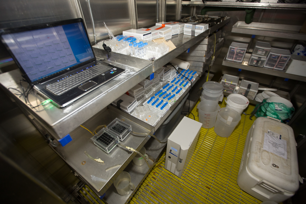 Inside of one of R/V Sikuliaq 's walk-in refrigerators where Russ Hopcroft is conducting zooplankton respirometry experiments. I snuck in after he showed me. Photo credit: Brendan Smith