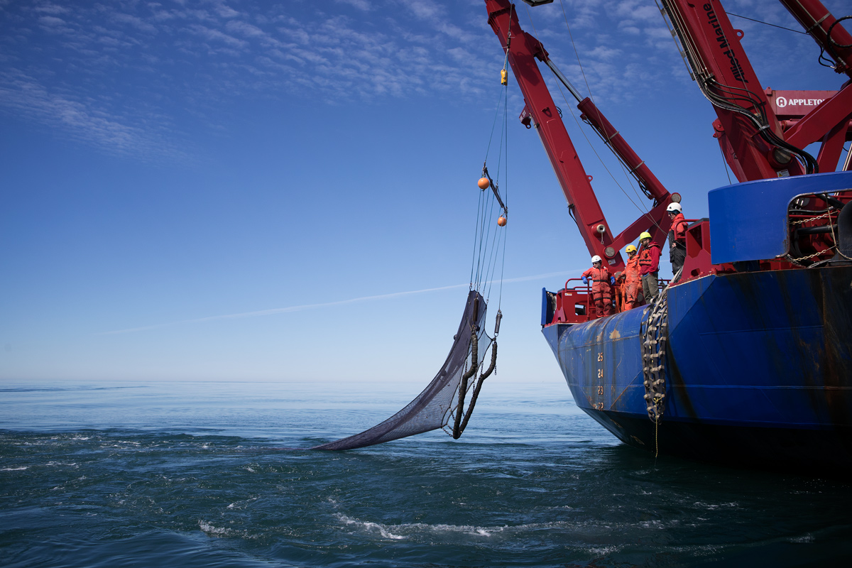 Recovery of the mid-water trawl net. Photographed on a skiff next to Sikuliaq . Photo credit: Brendan Smith
