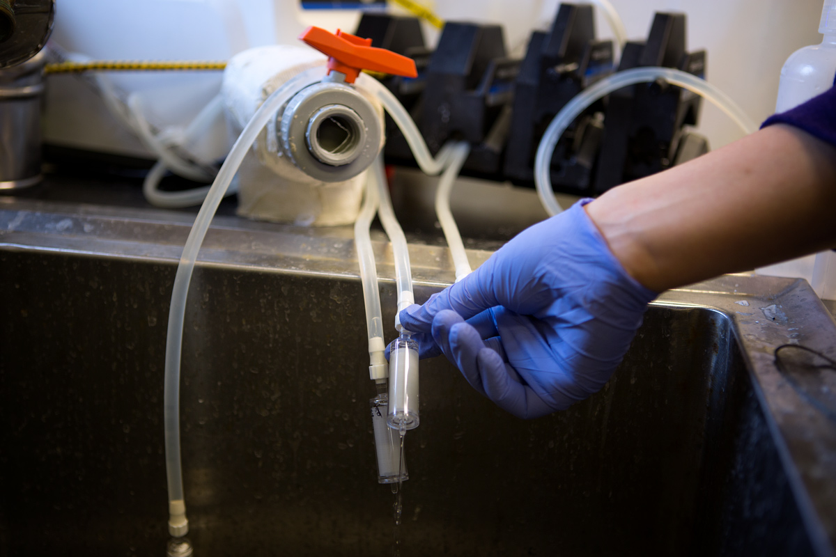 Close up of the end unit of the filtration tubing. Photo credit: Brendan Smith