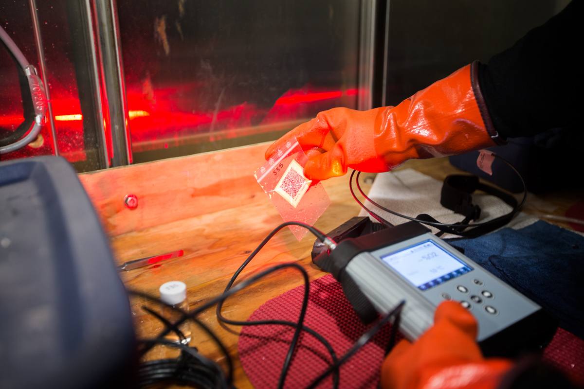 Close up of the oxygen reader scanning a barcode for vial identification. Photo credit: Brendan Smith