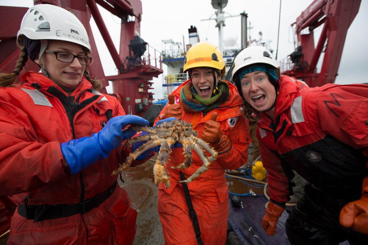 R/V Sikuliaq is on the crab, 50 miles south of Diomede! Photo credit: Brendan Smith